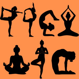 yoga - a group of silhouettes of women doing yoga